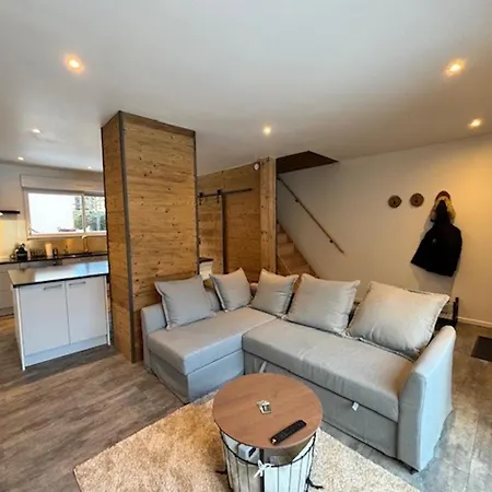 Duplex Le Red Cedar Avec Terrasse Et Jardin Apartment Gérardmer Exterior photo